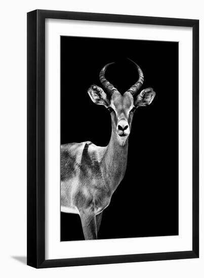 Safari Profile Collection - Antelope Black Edition-Philippe Hugonnard-Framed Photographic Print