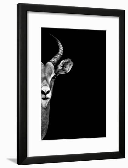 Safari Profile Collection - Antelope Face Black Edition-Philippe Hugonnard-Framed Photographic Print