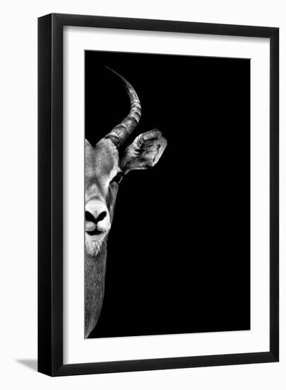 Safari Profile Collection - Antelope Face Black Edition-Philippe Hugonnard-Framed Photographic Print