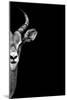 Safari Profile Collection - Antelope Face Black Edition-Philippe Hugonnard-Mounted Photographic Print