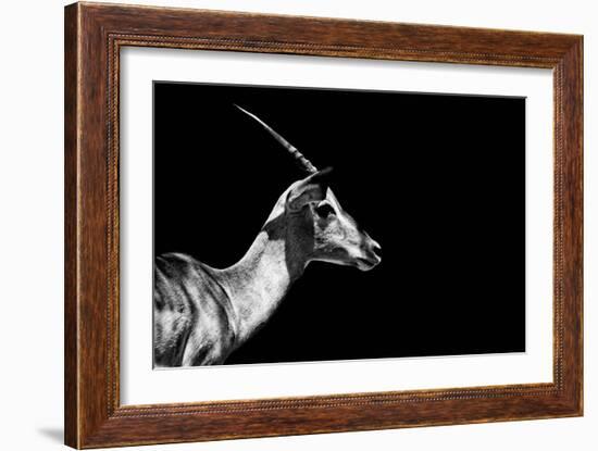 Safari Profile Collection - Antelope Impala Black Edition-Philippe Hugonnard-Framed Photographic Print