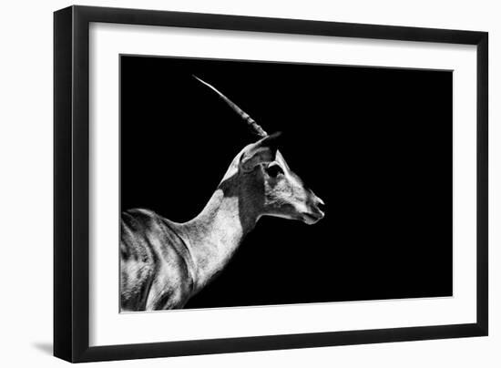 Safari Profile Collection - Antelope Impala Black Edition-Philippe Hugonnard-Framed Photographic Print