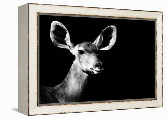 Safari Profile Collection - Antelope Impala Portrait Black Edition II-Philippe Hugonnard-Framed Premier Image Canvas