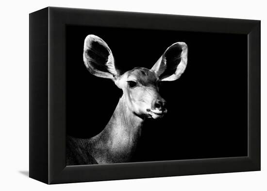 Safari Profile Collection - Antelope Impala Portrait Black Edition II-Philippe Hugonnard-Framed Premier Image Canvas