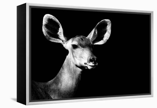 Safari Profile Collection - Antelope Impala Portrait Black Edition II-Philippe Hugonnard-Framed Premier Image Canvas