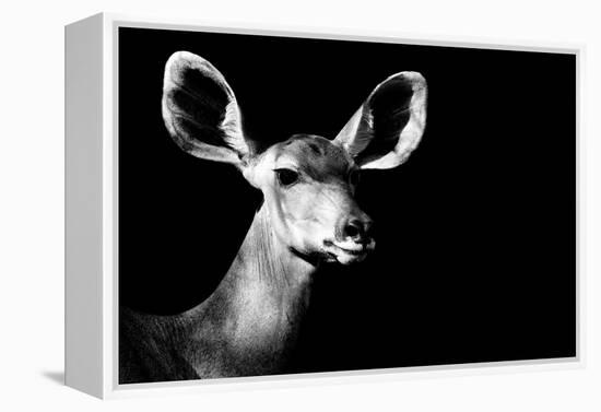 Safari Profile Collection - Antelope Impala Portrait Black Edition II-Philippe Hugonnard-Framed Premier Image Canvas