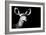 Safari Profile Collection - Antelope Impala Portrait Black Edition II-Philippe Hugonnard-Framed Photographic Print