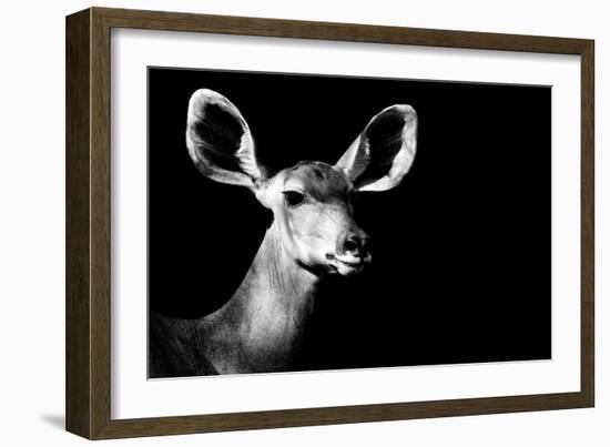 Safari Profile Collection - Antelope Impala Portrait Black Edition II-Philippe Hugonnard-Framed Photographic Print