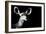 Safari Profile Collection - Antelope Impala Portrait Black Edition II-Philippe Hugonnard-Framed Photographic Print