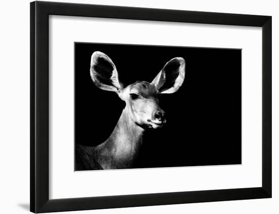 Safari Profile Collection - Antelope Impala Portrait Black Edition II-Philippe Hugonnard-Framed Photographic Print