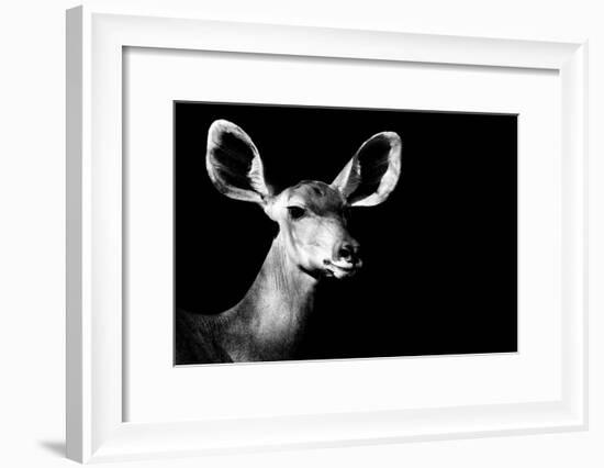 Safari Profile Collection - Antelope Impala Portrait Black Edition II-Philippe Hugonnard-Framed Photographic Print