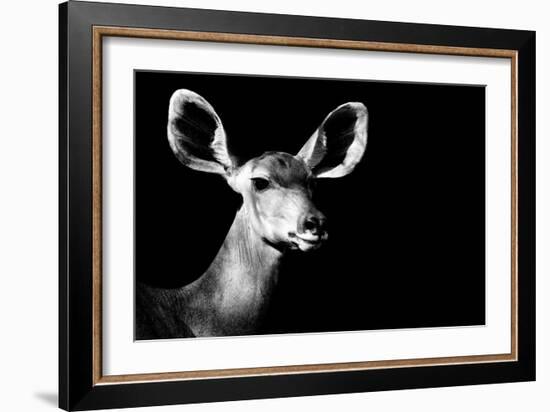 Safari Profile Collection - Antelope Impala Portrait Black Edition II-Philippe Hugonnard-Framed Photographic Print