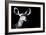 Safari Profile Collection - Antelope Impala Portrait Black Edition II-Philippe Hugonnard-Framed Photographic Print