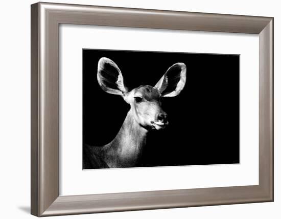 Safari Profile Collection - Antelope Impala Portrait Black Edition II-Philippe Hugonnard-Framed Photographic Print