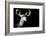 Safari Profile Collection - Antelope Impala Portrait Black Edition II-Philippe Hugonnard-Framed Photographic Print