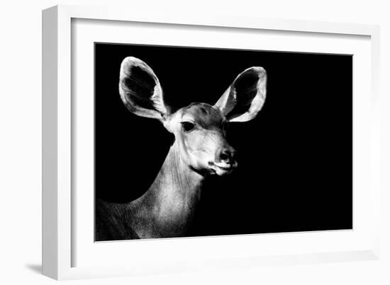 Safari Profile Collection - Antelope Impala Portrait Black Edition II-Philippe Hugonnard-Framed Photographic Print