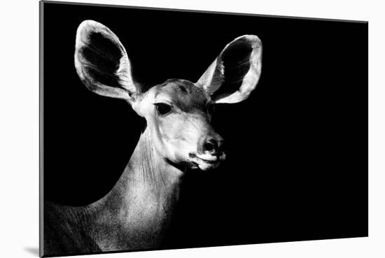 Safari Profile Collection - Antelope Impala Portrait Black Edition II-Philippe Hugonnard-Mounted Photographic Print