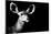 Safari Profile Collection - Antelope Impala Portrait Black Edition II-Philippe Hugonnard-Mounted Photographic Print