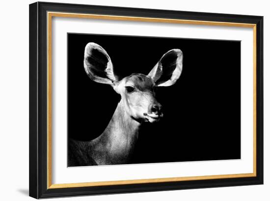 Safari Profile Collection - Antelope Impala Portrait Black Edition II-Philippe Hugonnard-Framed Photographic Print