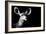 Safari Profile Collection - Antelope Impala Portrait Black Edition II-Philippe Hugonnard-Framed Photographic Print