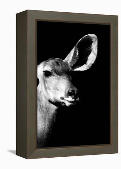 Safari Profile Collection - Antelope Impala Portrait Black Edition IV-Philippe Hugonnard-Framed Premier Image Canvas