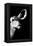 Safari Profile Collection - Antelope Impala Portrait Black Edition IV-Philippe Hugonnard-Framed Premier Image Canvas