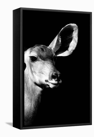 Safari Profile Collection - Antelope Impala Portrait Black Edition IV-Philippe Hugonnard-Framed Premier Image Canvas