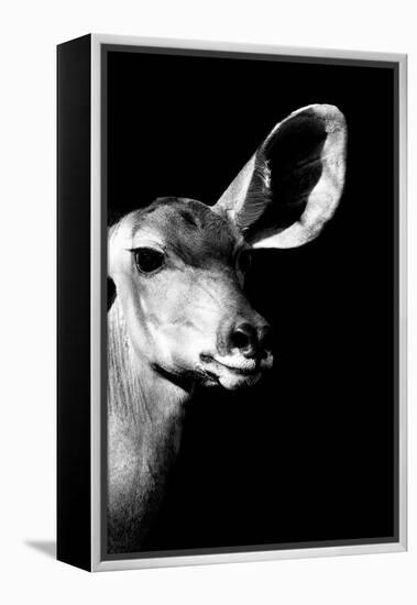 Safari Profile Collection - Antelope Impala Portrait Black Edition IV-Philippe Hugonnard-Framed Premier Image Canvas