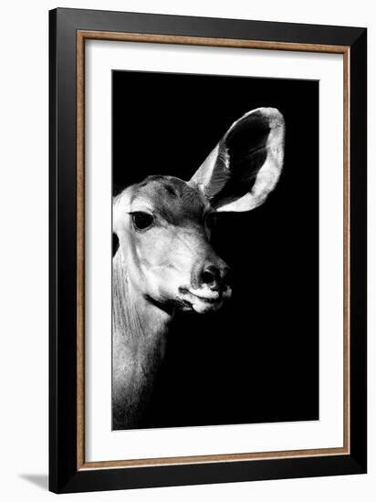 Safari Profile Collection - Antelope Impala Portrait Black Edition IV-Philippe Hugonnard-Framed Photographic Print