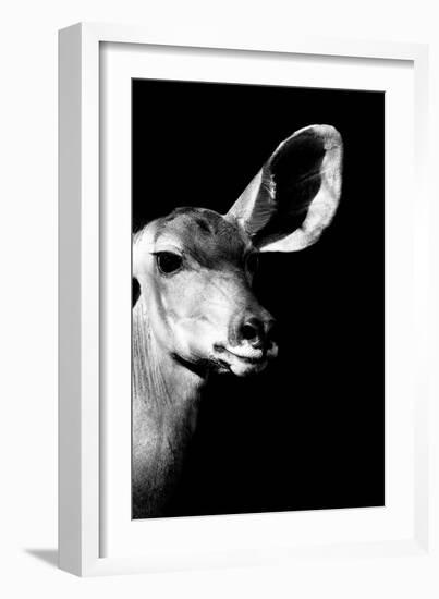 Safari Profile Collection - Antelope Impala Portrait Black Edition IV-Philippe Hugonnard-Framed Photographic Print