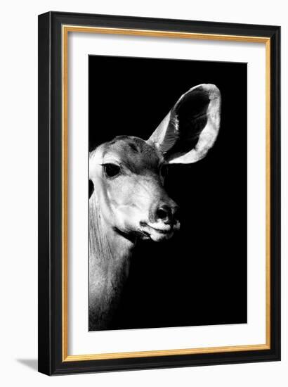 Safari Profile Collection - Antelope Impala Portrait Black Edition IV-Philippe Hugonnard-Framed Photographic Print