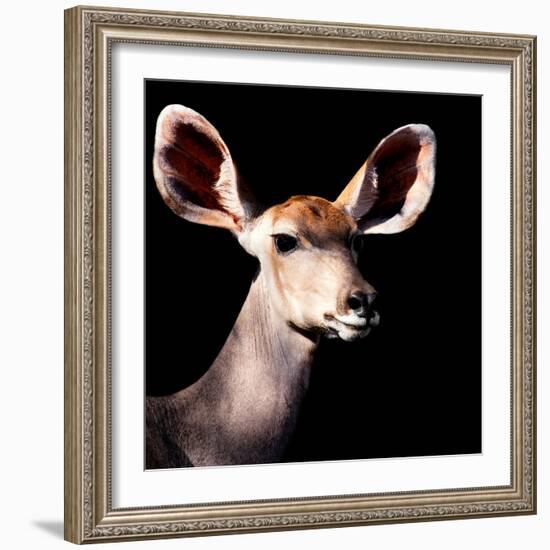 Safari Profile Collection - Antelope Impala Portrait Black Edition V-Philippe Hugonnard-Framed Photographic Print