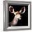 Safari Profile Collection - Antelope Impala Portrait Black Edition V-Philippe Hugonnard-Framed Photographic Print