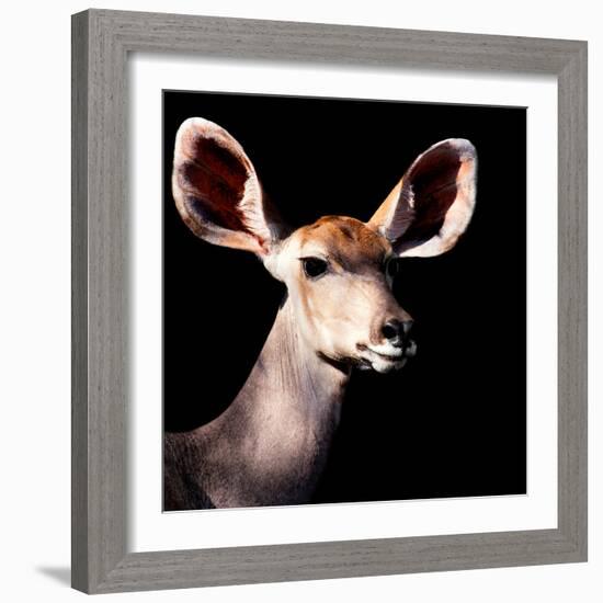 Safari Profile Collection - Antelope Impala Portrait Black Edition V-Philippe Hugonnard-Framed Photographic Print