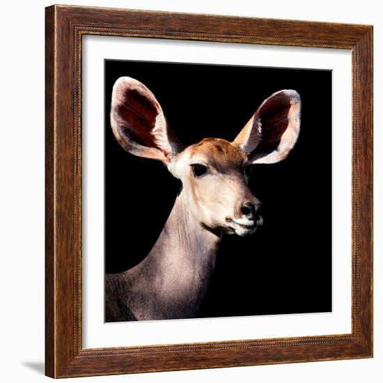 Safari Profile Collection - Antelope Impala Portrait Black Edition V-Philippe Hugonnard-Framed Photographic Print