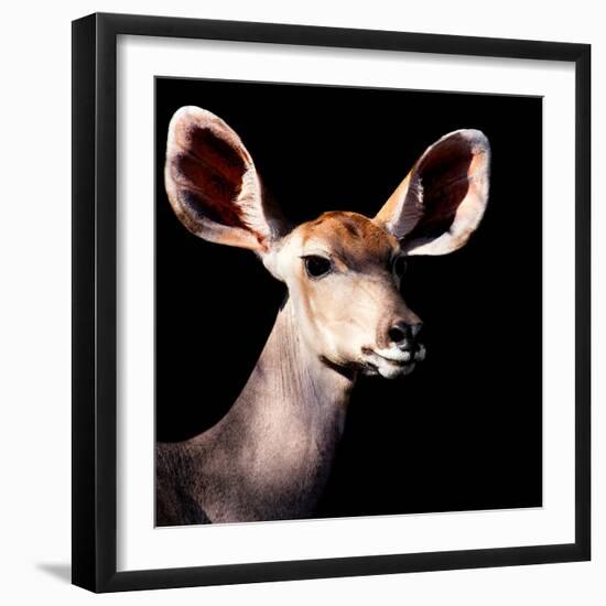 Safari Profile Collection - Antelope Impala Portrait Black Edition V-Philippe Hugonnard-Framed Photographic Print