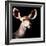 Safari Profile Collection - Antelope Impala Portrait Black Edition V-Philippe Hugonnard-Framed Photographic Print