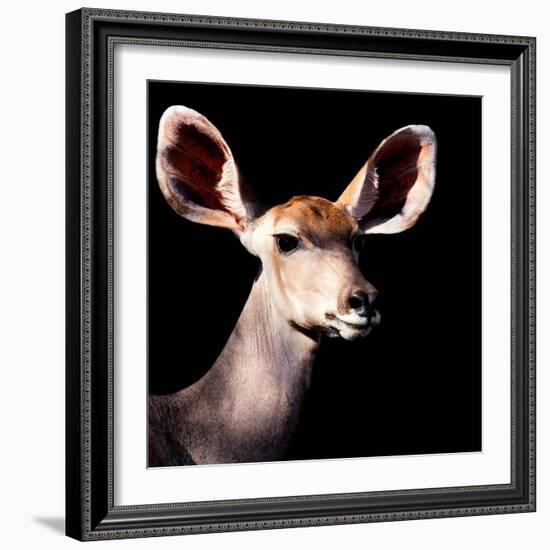 Safari Profile Collection - Antelope Impala Portrait Black Edition V-Philippe Hugonnard-Framed Photographic Print