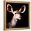 Safari Profile Collection - Antelope Impala Portrait Black Edition V-Philippe Hugonnard-Framed Premier Image Canvas