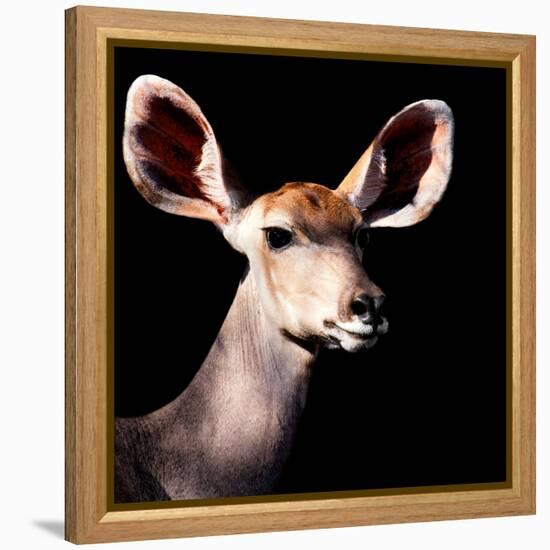 Safari Profile Collection - Antelope Impala Portrait Black Edition V-Philippe Hugonnard-Framed Premier Image Canvas