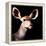 Safari Profile Collection - Antelope Impala Portrait Black Edition V-Philippe Hugonnard-Framed Premier Image Canvas