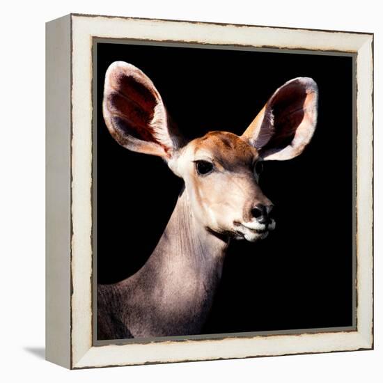 Safari Profile Collection - Antelope Impala Portrait Black Edition V-Philippe Hugonnard-Framed Premier Image Canvas