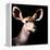 Safari Profile Collection - Antelope Impala Portrait Black Edition V-Philippe Hugonnard-Framed Premier Image Canvas