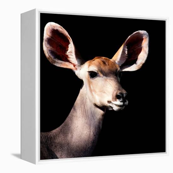 Safari Profile Collection - Antelope Impala Portrait Black Edition V-Philippe Hugonnard-Framed Premier Image Canvas