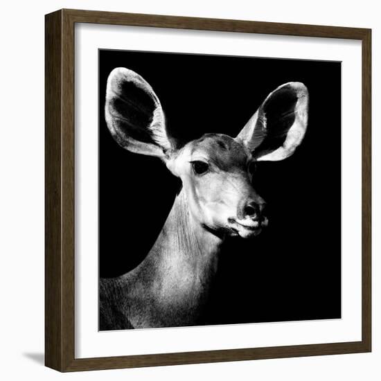 Safari Profile Collection - Antelope Impala Portrait Black Edition VI-Philippe Hugonnard-Framed Photographic Print