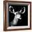 Safari Profile Collection - Antelope Impala Portrait Black Edition VI-Philippe Hugonnard-Framed Photographic Print