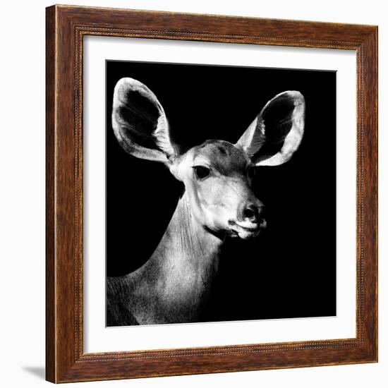 Safari Profile Collection - Antelope Impala Portrait Black Edition VI-Philippe Hugonnard-Framed Photographic Print