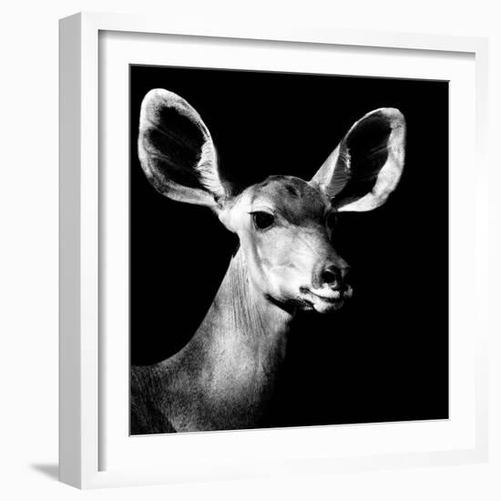 Safari Profile Collection - Antelope Impala Portrait Black Edition VI-Philippe Hugonnard-Framed Photographic Print