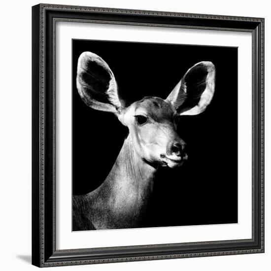 Safari Profile Collection - Antelope Impala Portrait Black Edition VI-Philippe Hugonnard-Framed Photographic Print