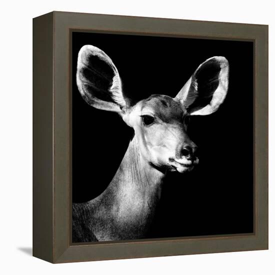 Safari Profile Collection - Antelope Impala Portrait Black Edition VI-Philippe Hugonnard-Framed Premier Image Canvas